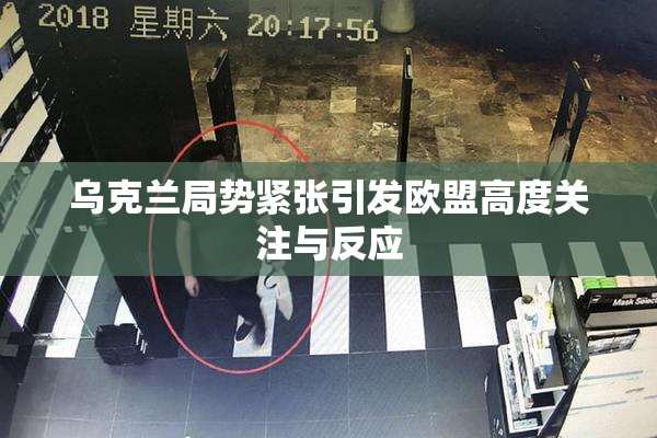 乌克兰局势紧张引发欧盟高度关注与反应