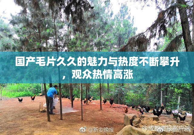 国产毛片久久的魅力与热度不断攀升，观众热情高涨