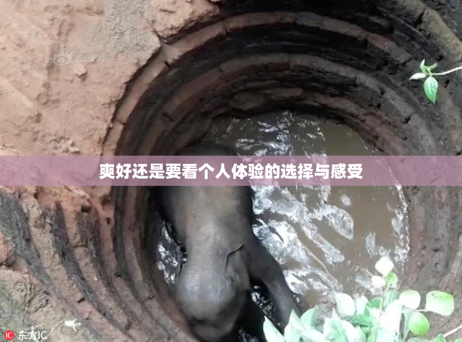 爽好还是要看个人体验的选择与感受