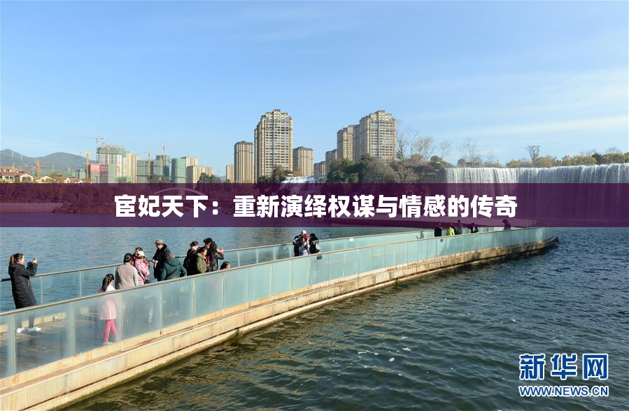 宦妃天下：重新演绎权谋与情感的传奇