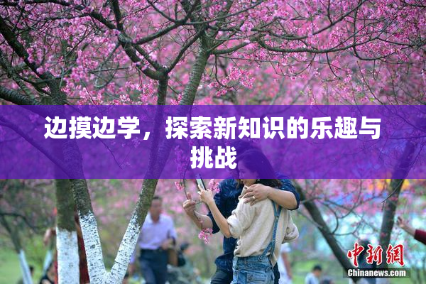 边摸边学，探索新知识的乐趣与挑战