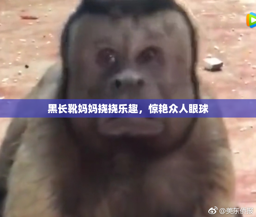 黑长靴妈妈挠挠乐趣，惊艳众人眼球