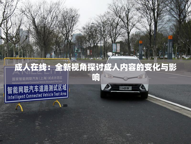 成人在线：全新视角探讨成人内容的变化与影响