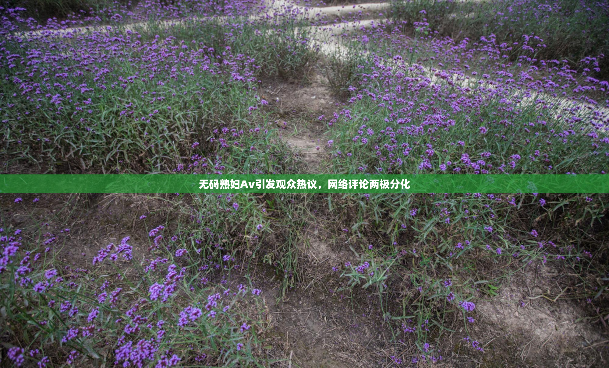 无码熟妇Av引发观众热议，网络评论两极分化