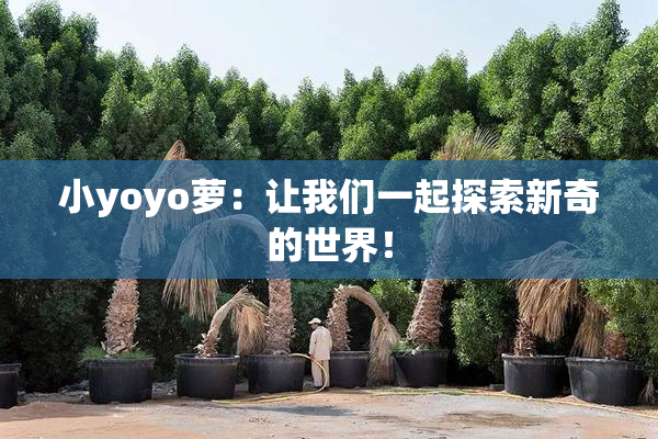 小yoyo萝：让我们一起探索新奇的世界！