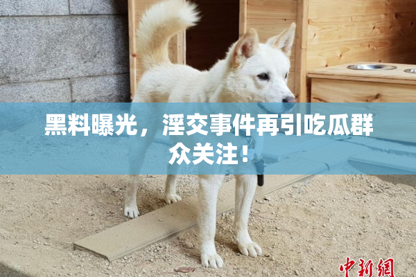 黑料曝光，淫交事件再引吃瓜群众关注！