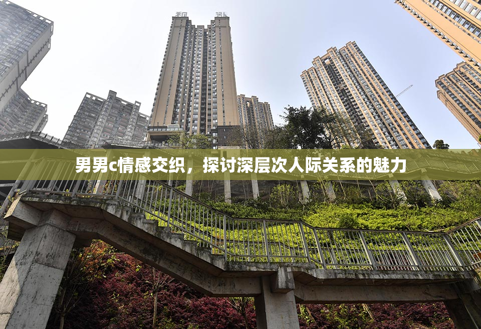 男男c情感交织，探讨深层次人际关系的魅力
