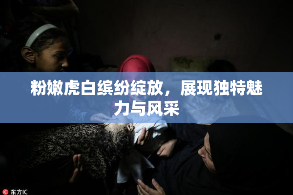 粉嫩虎白缤纷绽放，展现独特魅力与风采