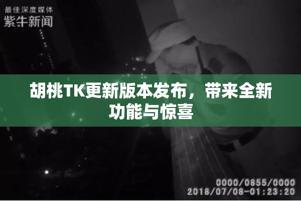 胡桃TK更新版本发布，带来全新功能与惊喜