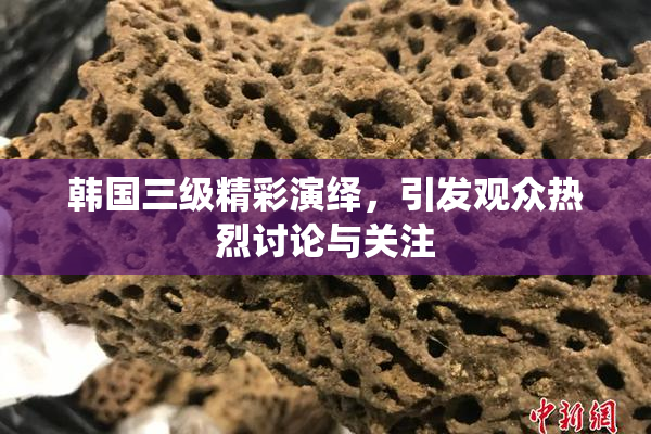 韩国三级精彩演绎，引发观众热烈讨论与关注