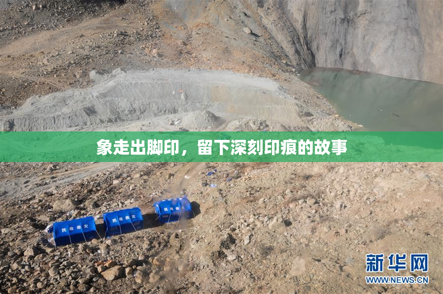 象走出脚印，留下深刻印痕的故事