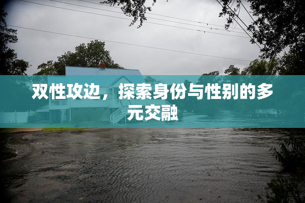 双性攻边，探索身份与性别的多元交融