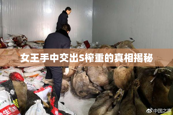 女王手中交出S榨重的真相揭秘