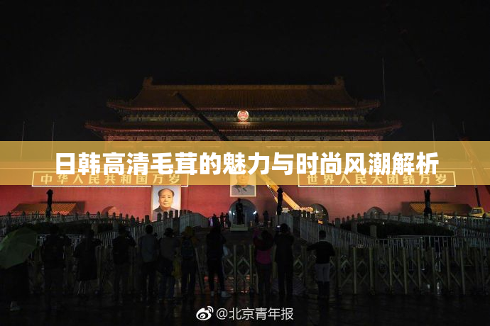 日韩高清毛茸的魅力与时尚风潮解析