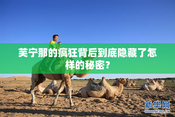 芙宁那的疯狂背后到底隐藏了怎样的秘密？