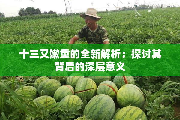 十三又嫩重的全新解析：探讨其背后的深层意义