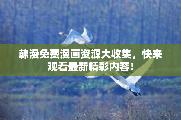 韩漫免费漫画资源大收集，快来观看最新精彩内容！
