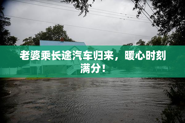 老婆乘长途汽车归来，暖心时刻满分！