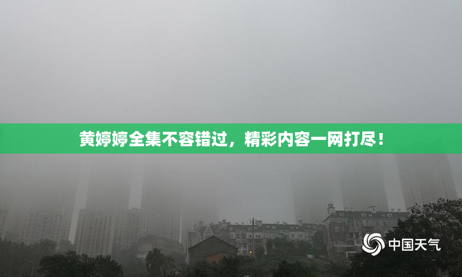 黄婷婷全集不容错过，精彩内容一网打尽！