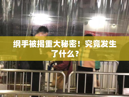 纲手被揭重大秘密！究竟发生了什么？
