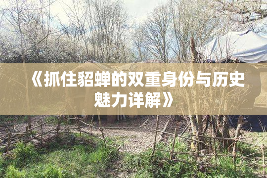 《抓住貂蝉的双重身份与历史魅力详解》