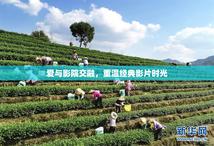 爱与影院交融，重温经典影片时光