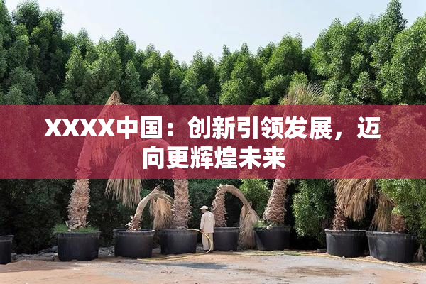 XXXX中国：创新引领发展，迈向更辉煌未来
