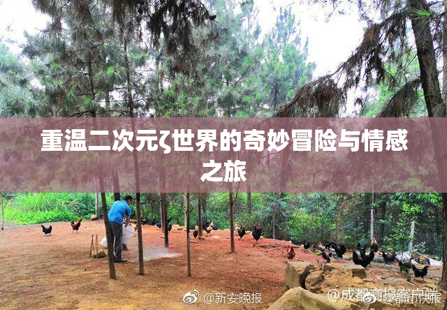 重温二次元ζ世界的奇妙冒险与情感之旅