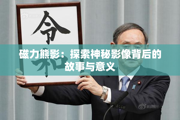 磁力熊影：探索神秘影像背后的故事与意义