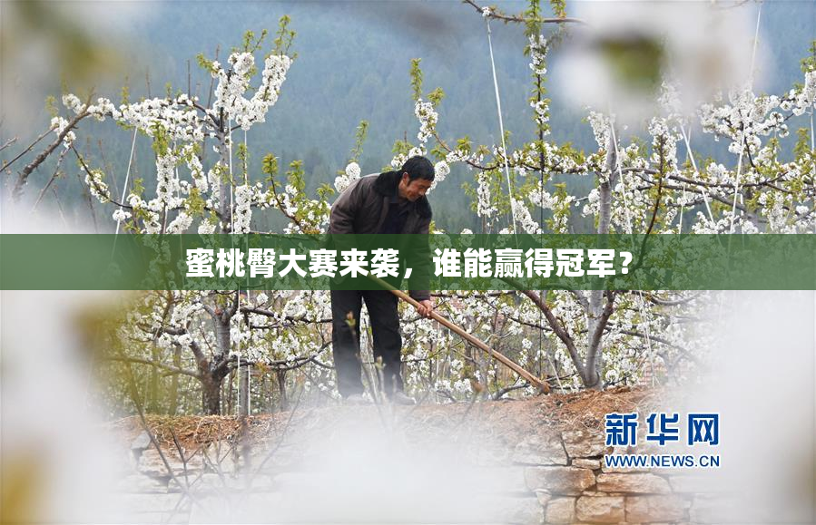 蜜桃臀大赛来袭，谁能赢得冠军？