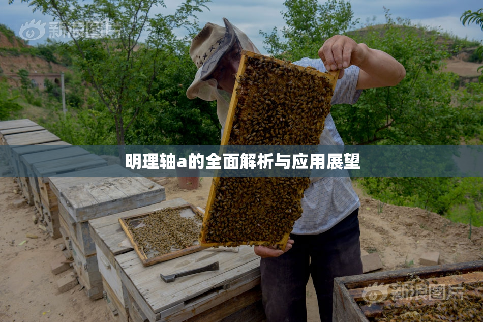 明理轴a的全面解析与应用展望