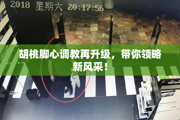 胡桃脚心调教再升级，带你领略新风采！
