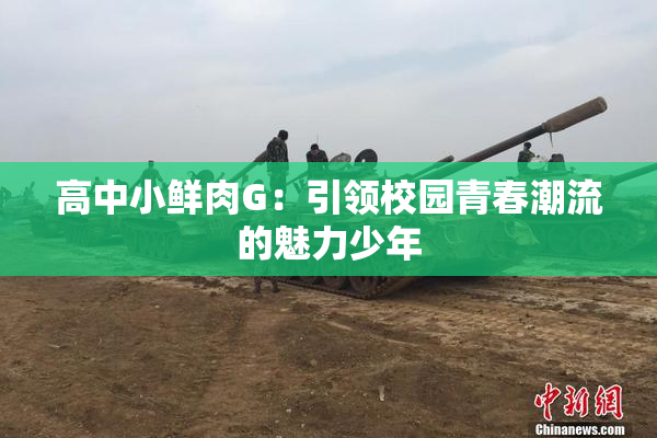 高中小鲜肉G：引领校园青春潮流的魅力少年