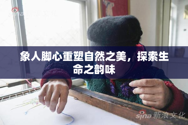 象人脚心重塑自然之美，探索生命之韵味
