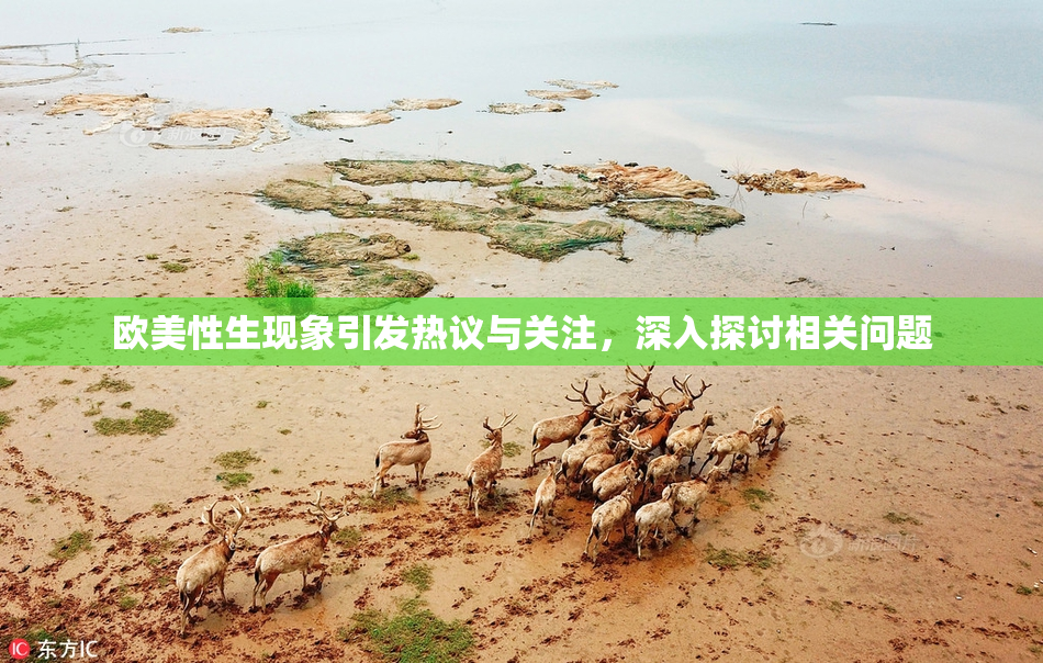 欧美性生现象引发热议与关注，深入探讨相关问题