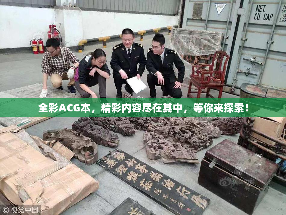 全彩ACG本，精彩内容尽在其中，等你来探索！