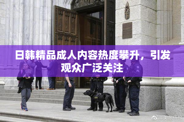 日韩精品成人内容热度攀升，引发观众广泛关注