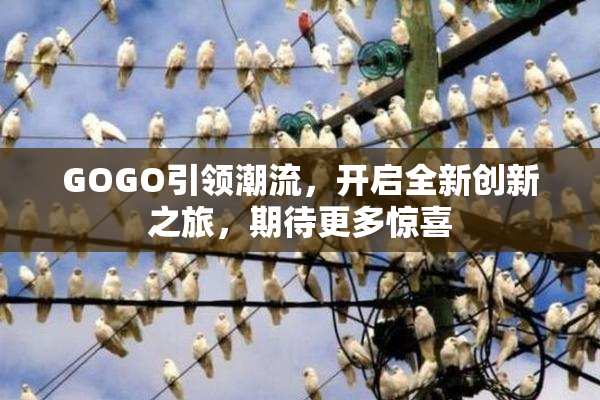 GOGO引领潮流，开启全新创新之旅，期待更多惊喜