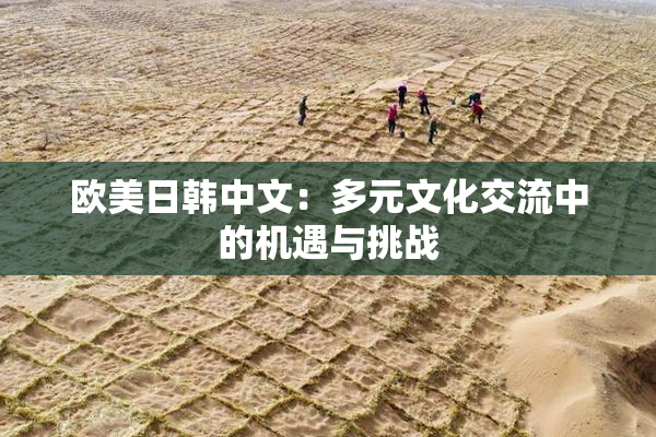 欧美日韩中文：多元文化交流中的机遇与挑战