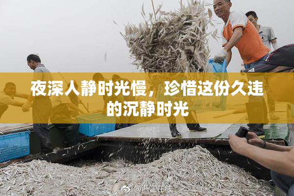 夜深人静时光慢，珍惜这份久违的沉静时光