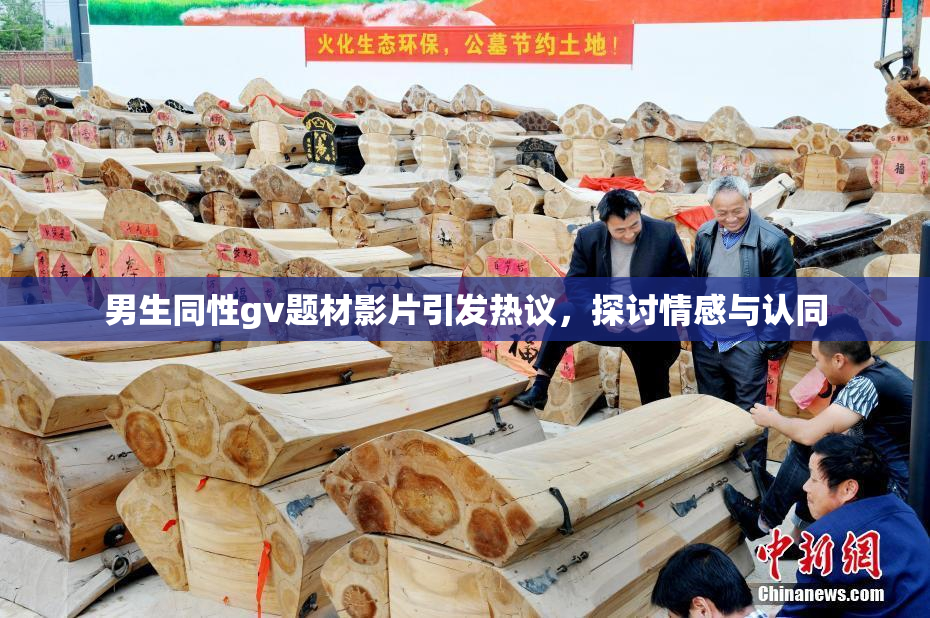 男生同性gv题材影片引发热议，探讨情感与认同
