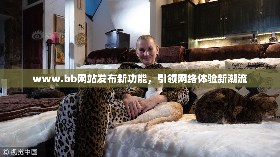 www.bb网站发布新功能，引领网络体验新潮流