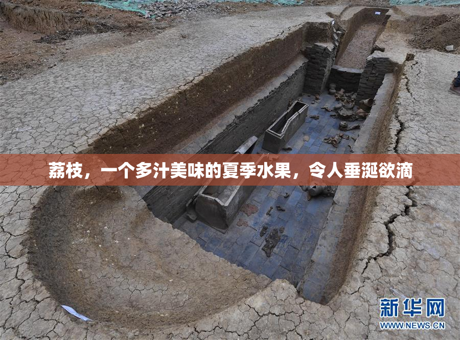 荔枝，一个多汁美味的夏季水果，令人垂涎欲滴