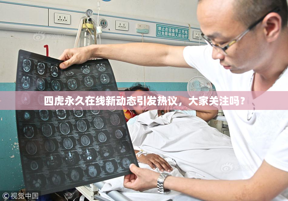 四虎永久在线新动态引发热议，大家关注吗？