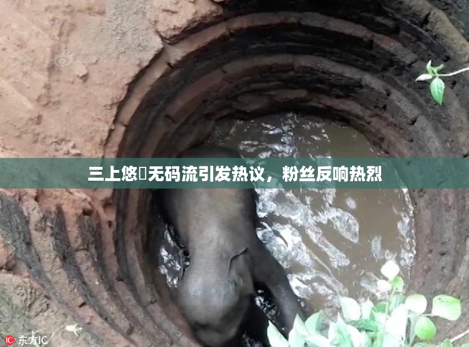 三上悠亜无码流引发热议，粉丝反响热烈