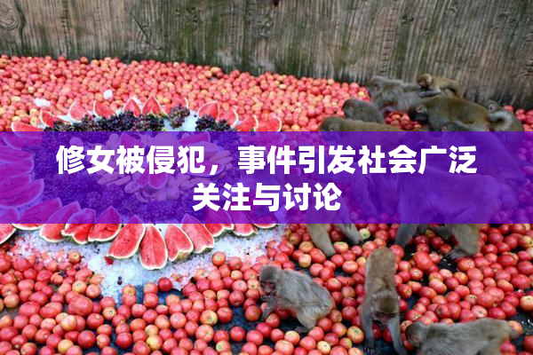 修女被侵犯，事件引发社会广泛关注与讨论