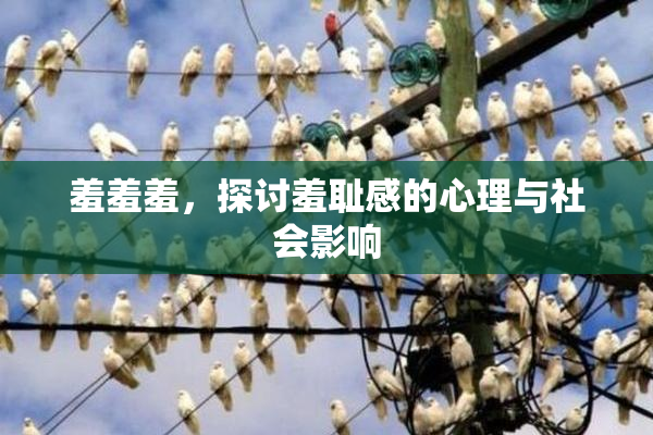 羞羞羞，探讨羞耻感的心理与社会影响