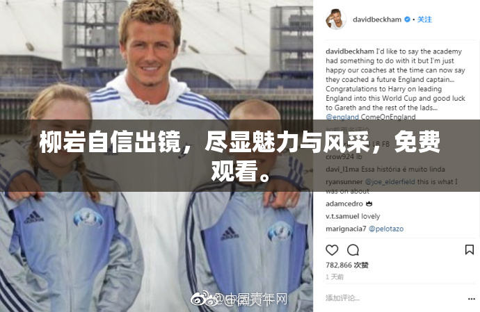 柳岩自信出镜，尽显魅力与风采，免费观看。