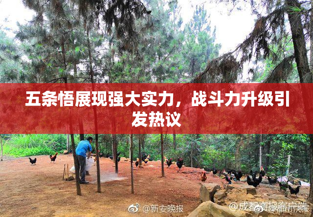 五条悟展现强大实力，战斗力升级引发热议