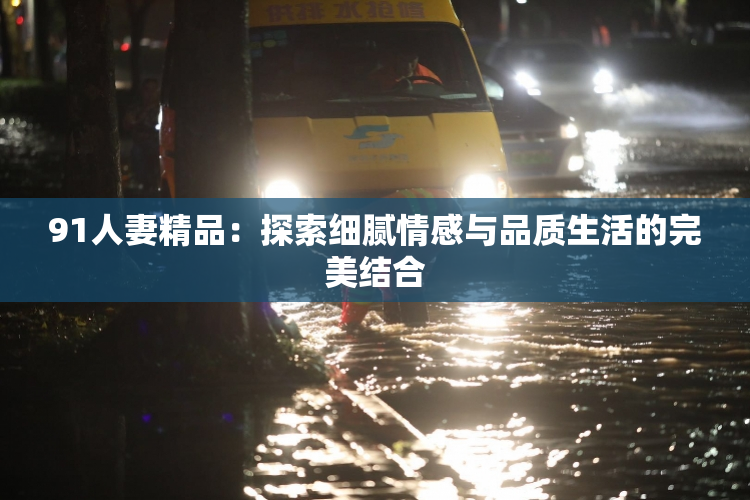 91人妻精品：探索细腻情感与品质生活的完美结合